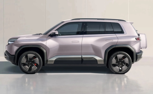 فانغ تشينغ باو 
   —الجودة والدقة والمغامرة 
   