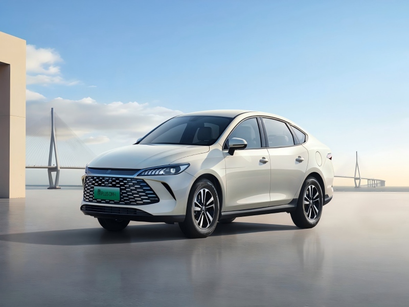 بي واي دي تشين بلس 
   